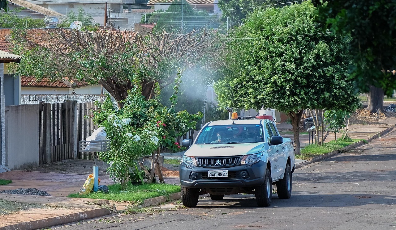 Foto: Diogo Gonçalves