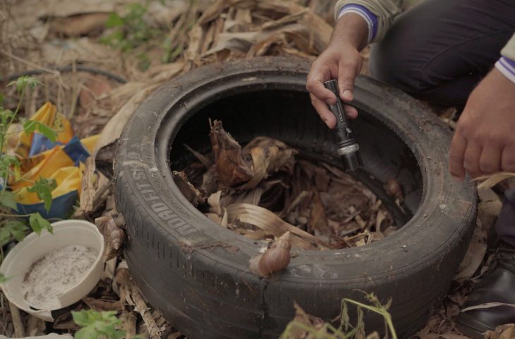 Fotos: Divulgação / Governo de MS